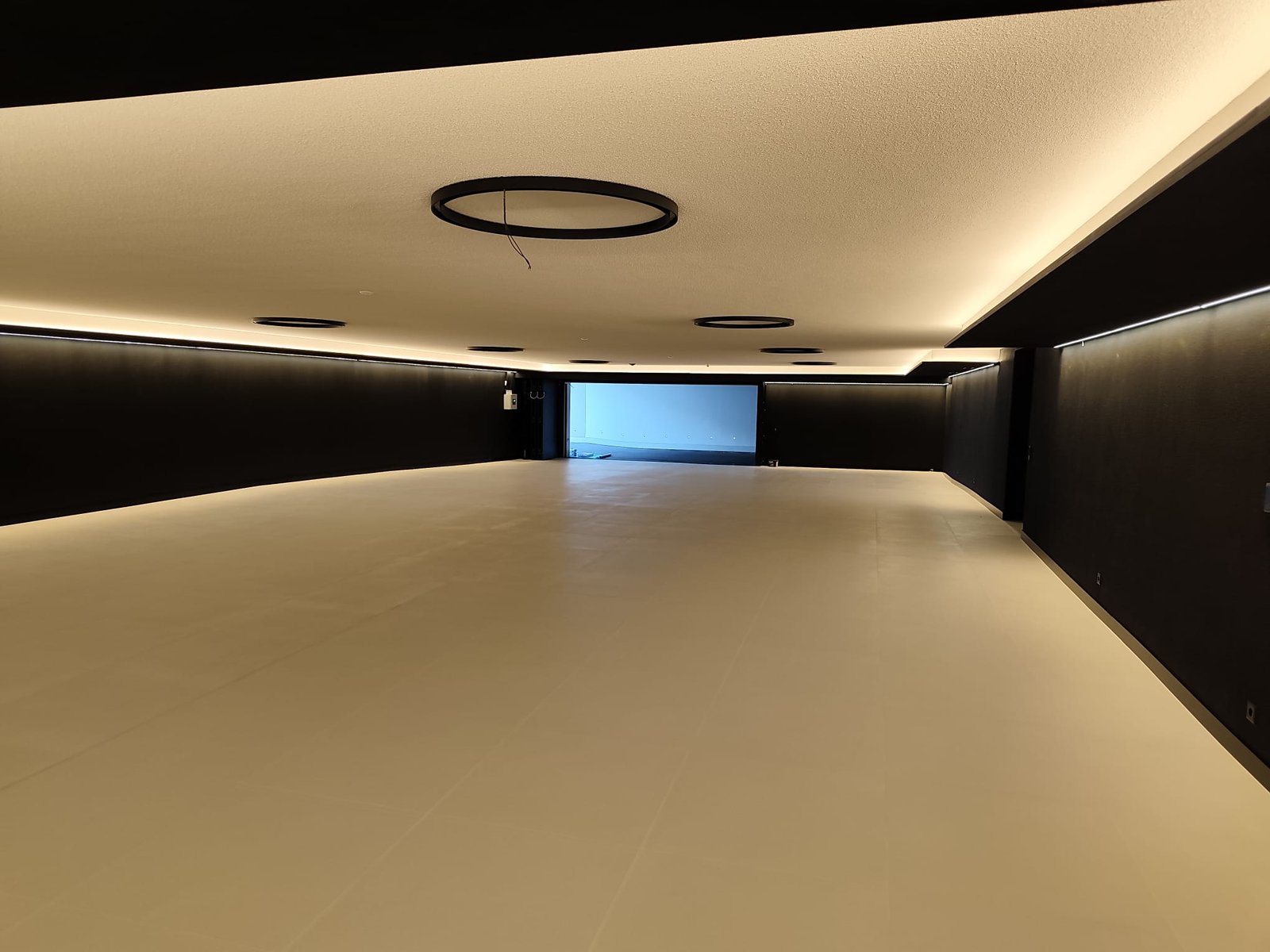 Modern Garage